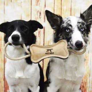 Natural Leather Dog Toy Y49380