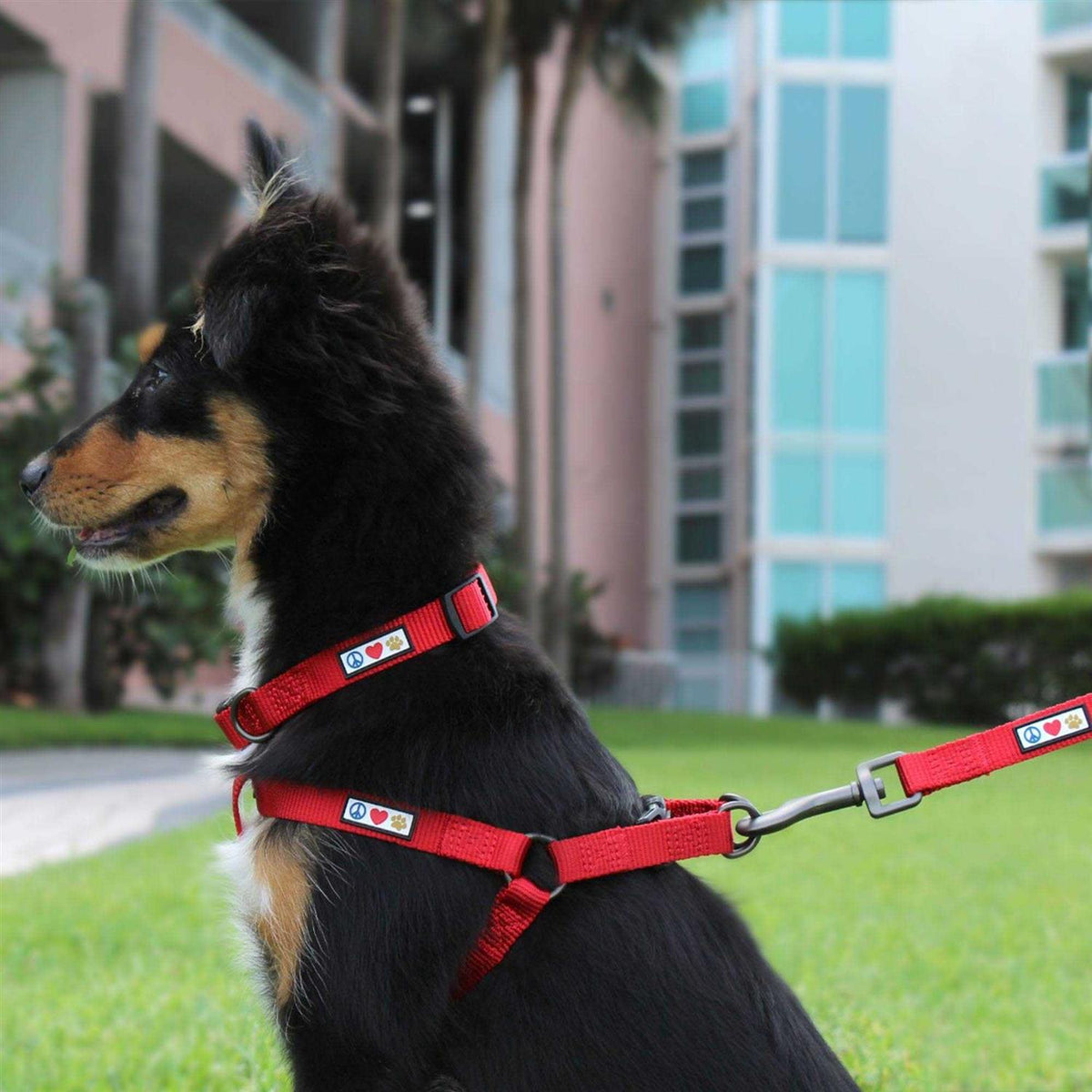 Reflective Step-in Dog Harness T5016