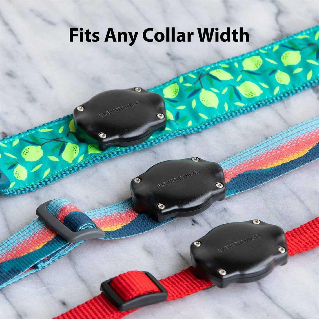 Waterproof AirTag Dog Collar Mount G74404