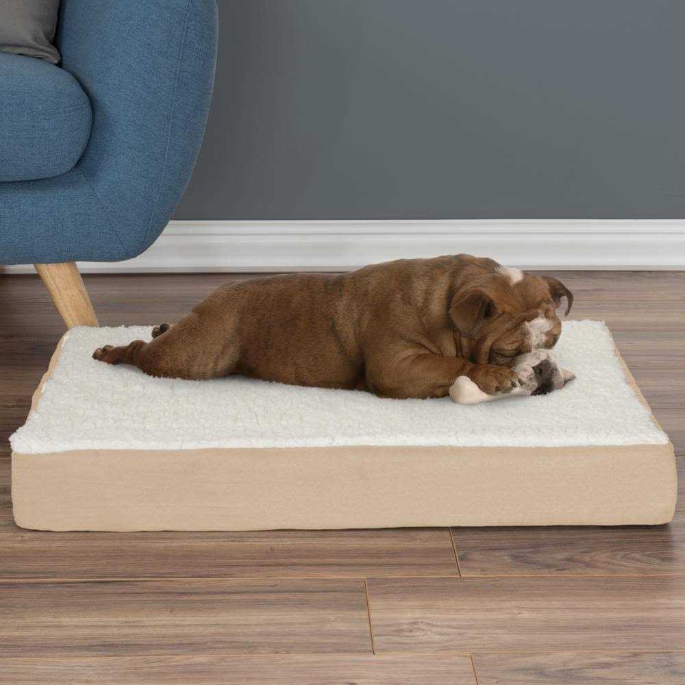Memory Foam Orthopedic Dog Bed F734