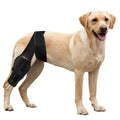 Dog Knee Brace for ACL Cruciate Ligament Injury N42907