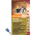 Advantage Multi for Dogs C753850