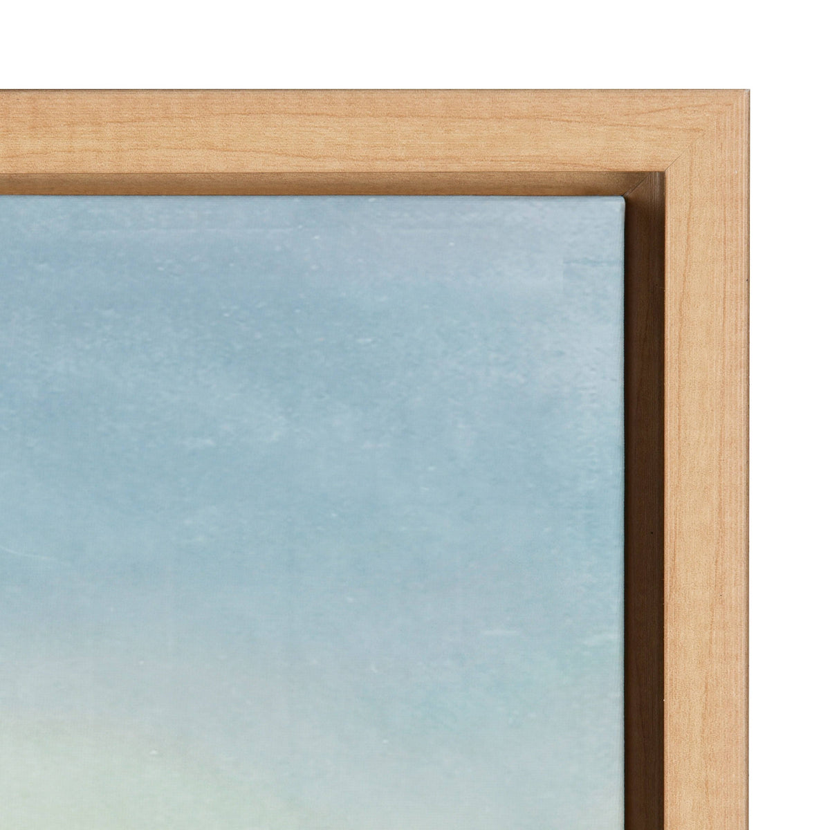 Framed Canvas N86885