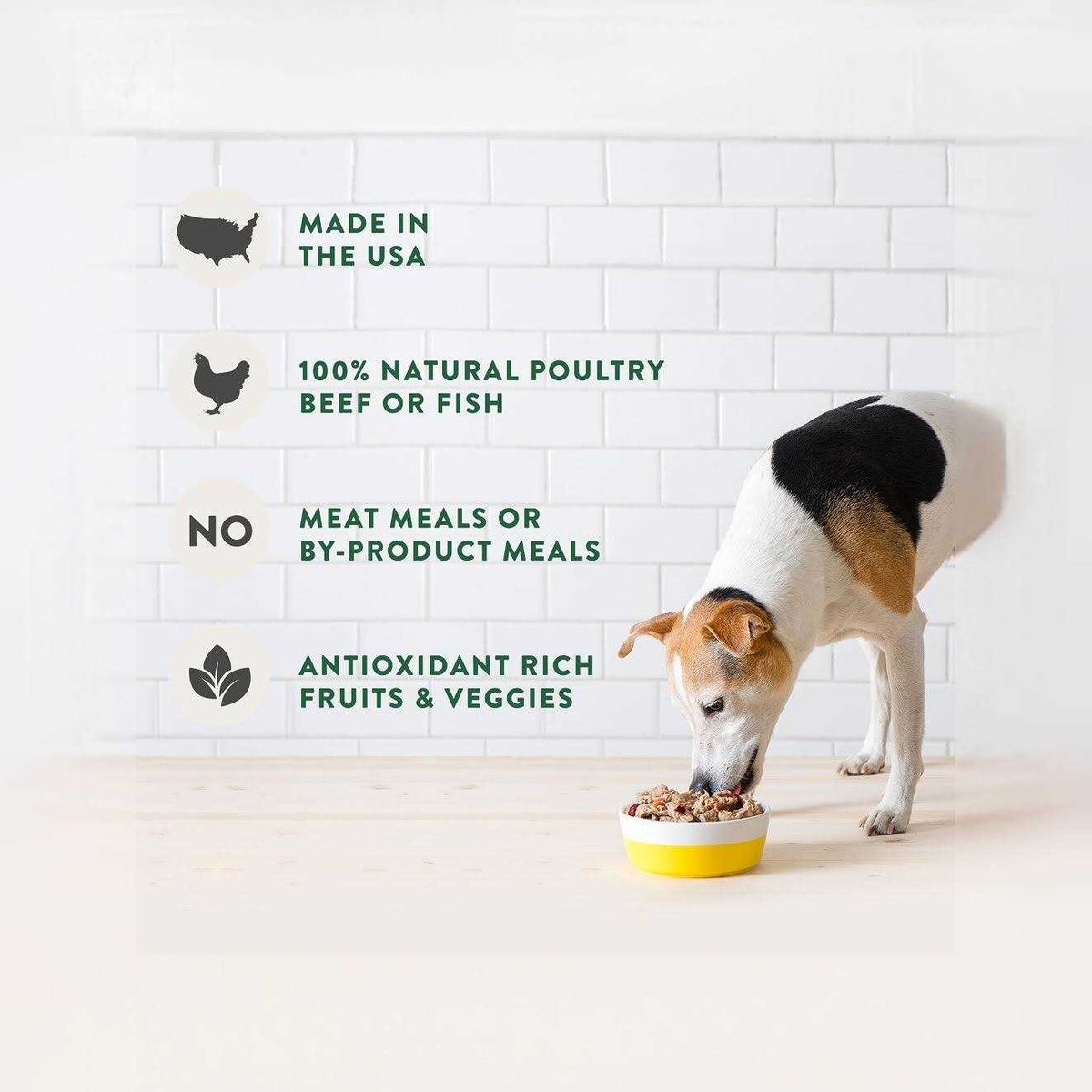 Grain Free Chicken Recipe Dog Food U296
