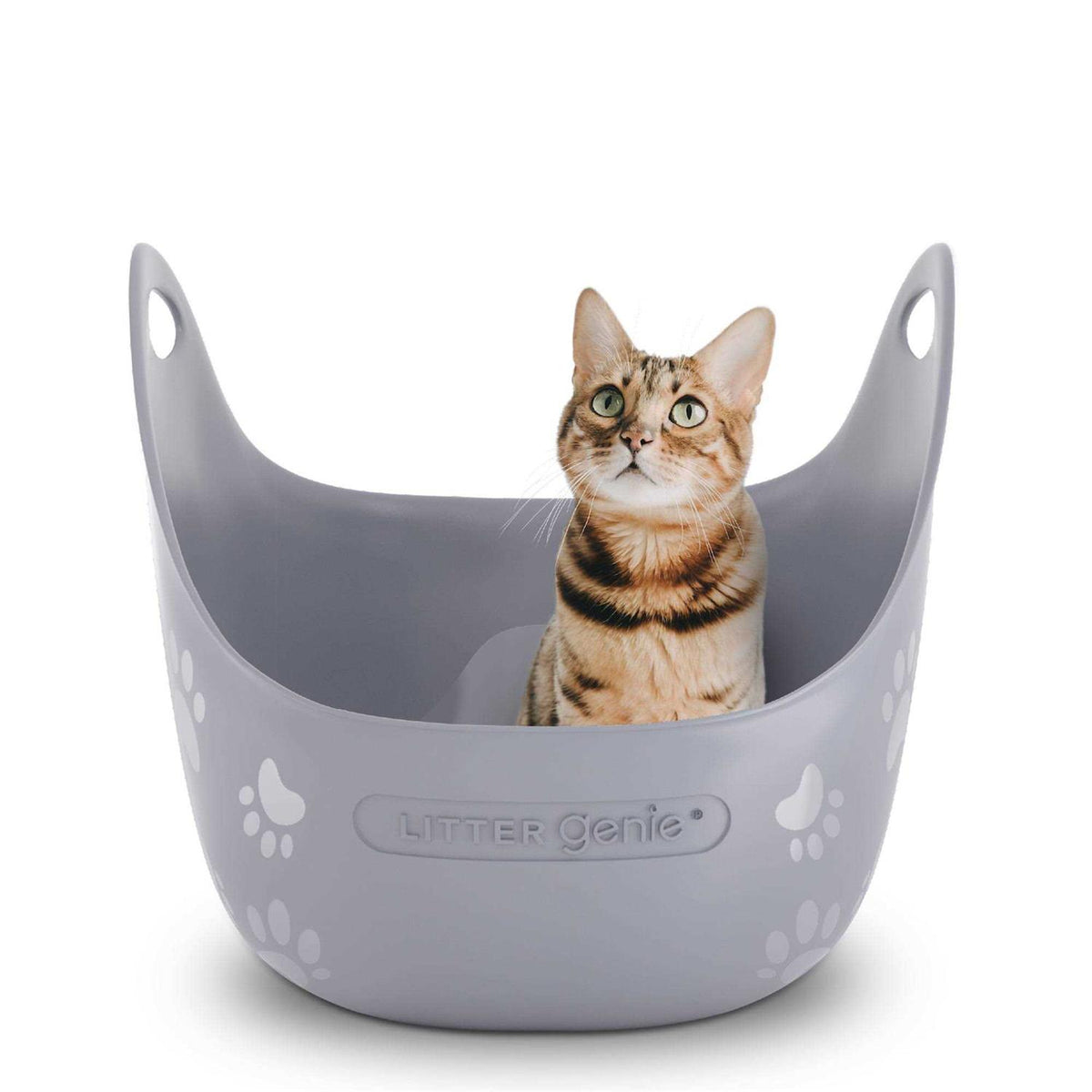 Cat Litter Box F1166