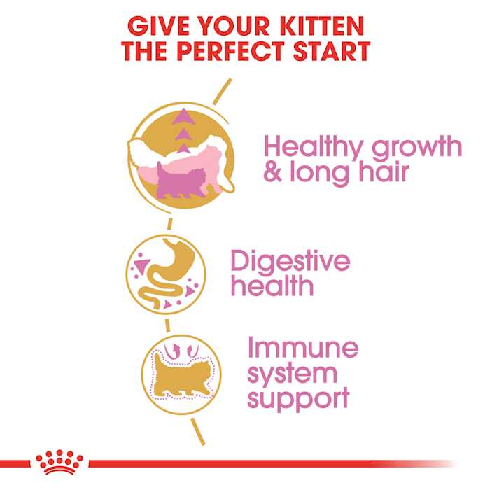 Persian Kitten Dry Cat Food V4148