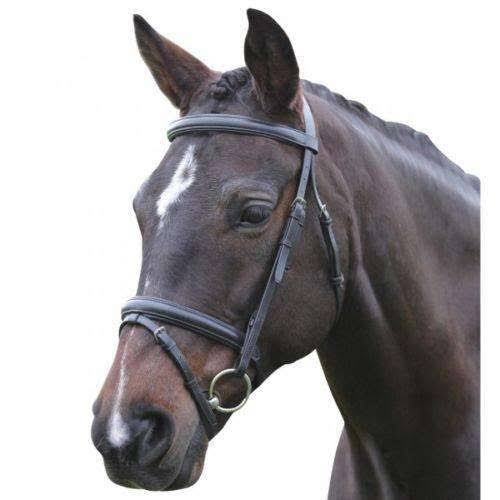 Brown Padded Bridle Q447