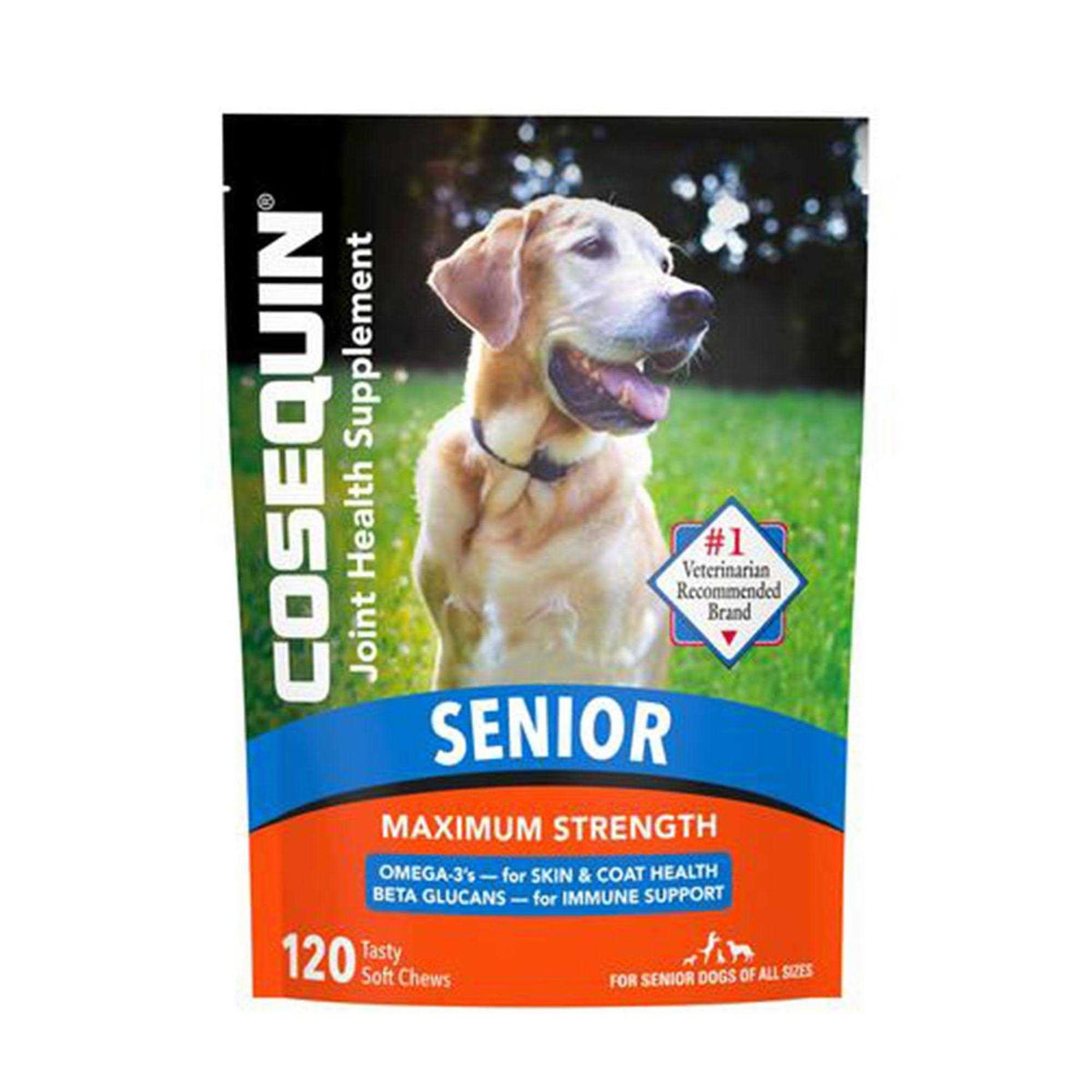 Joint Health Supplement for Senior Dogs J990