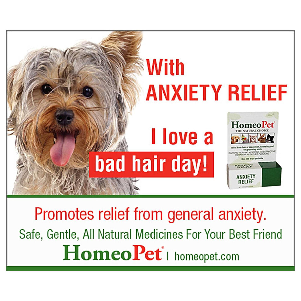 Anxiety Relief H32451