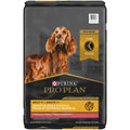 Salmon & Rice Senior Dry Dog Food U7189