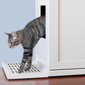 Litter Box Y844821