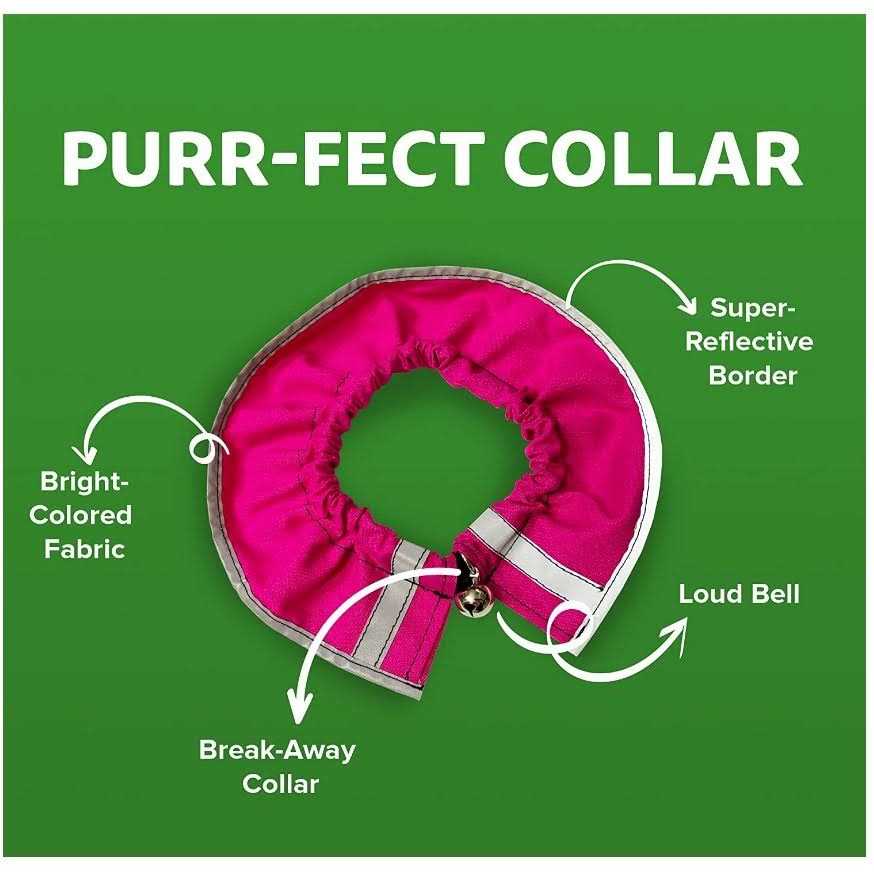 Cat Collar B31044