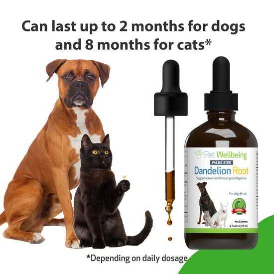 Dandelion Root Cat Liver and Digestive Support N91181