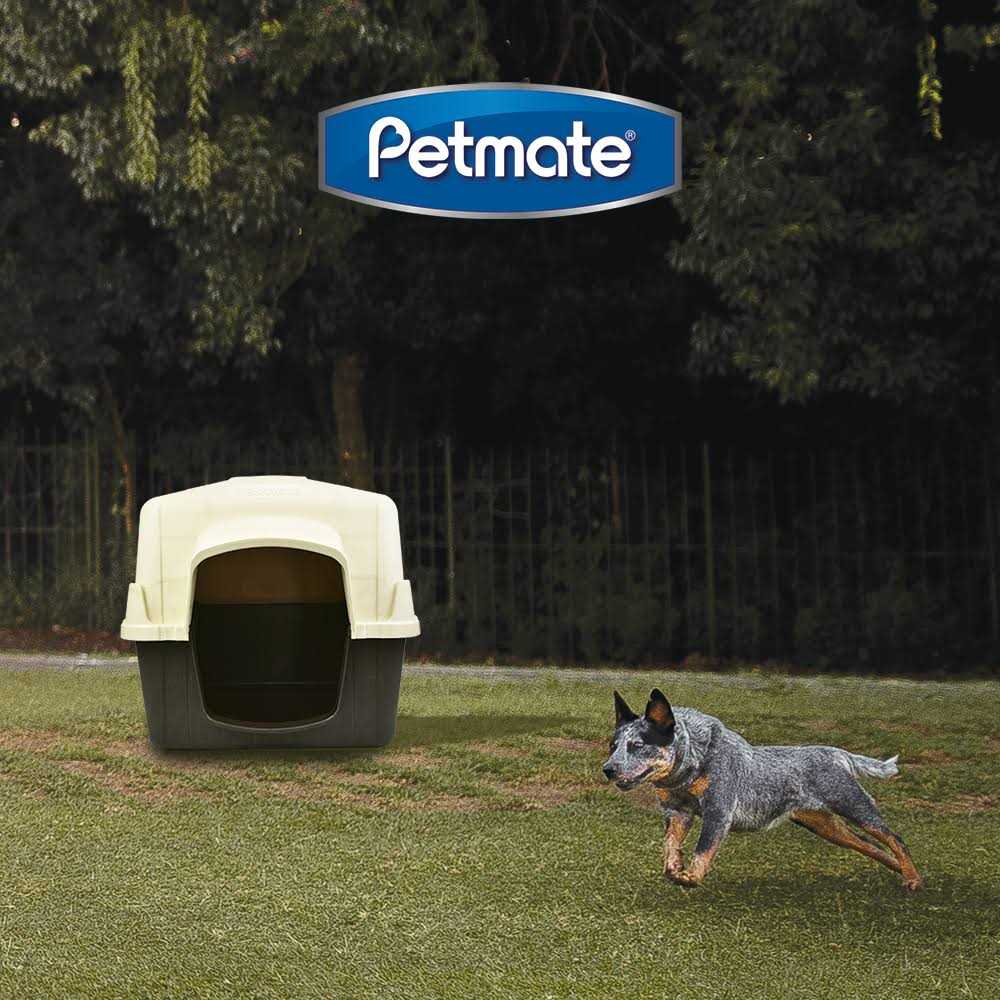 Dog House C30138