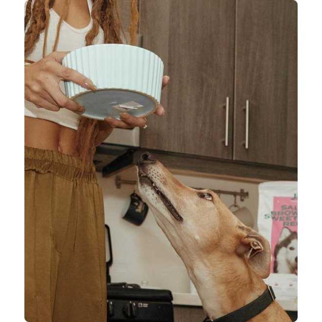 Freeze Dried Salmon Dog Food Topper W4898