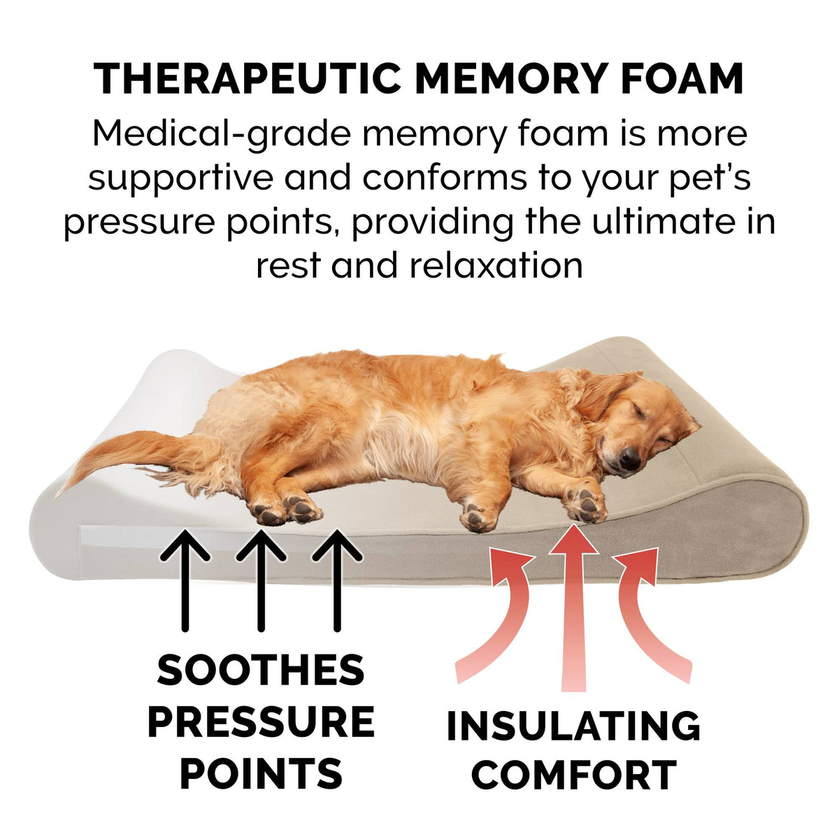 Memory Foam Microvelvet Pet Bed D6999