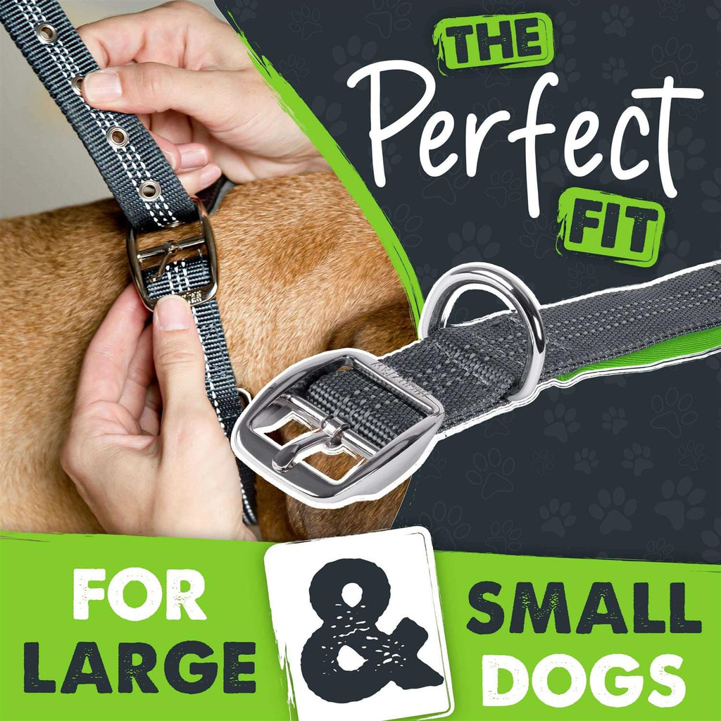 Dog Collar P147