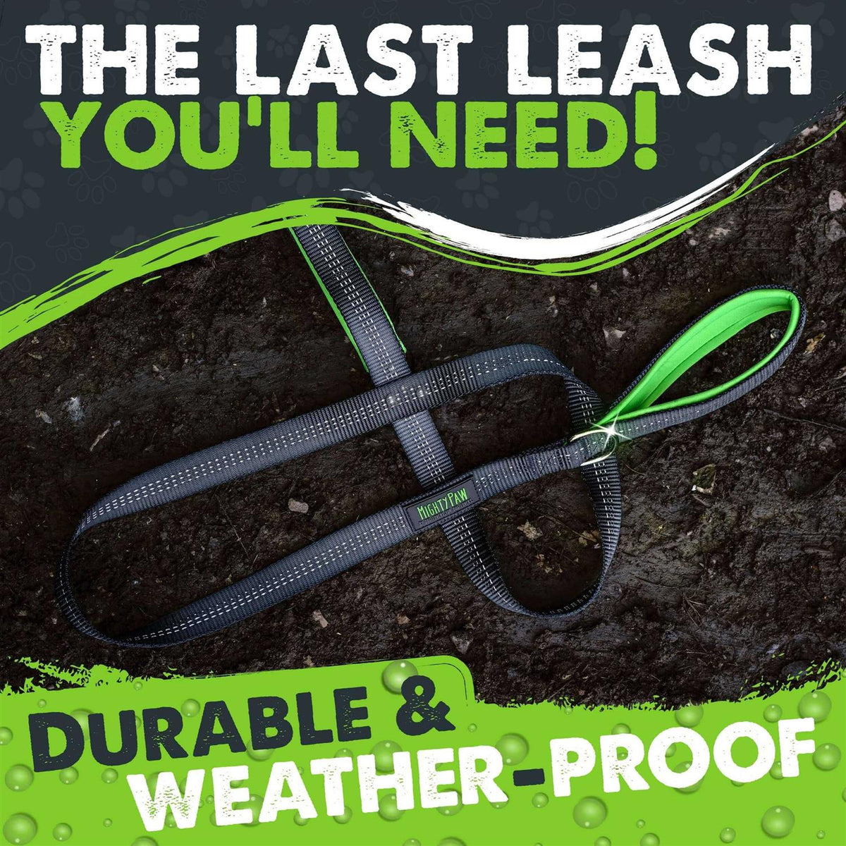 Dual Handle Dog Leash H69176