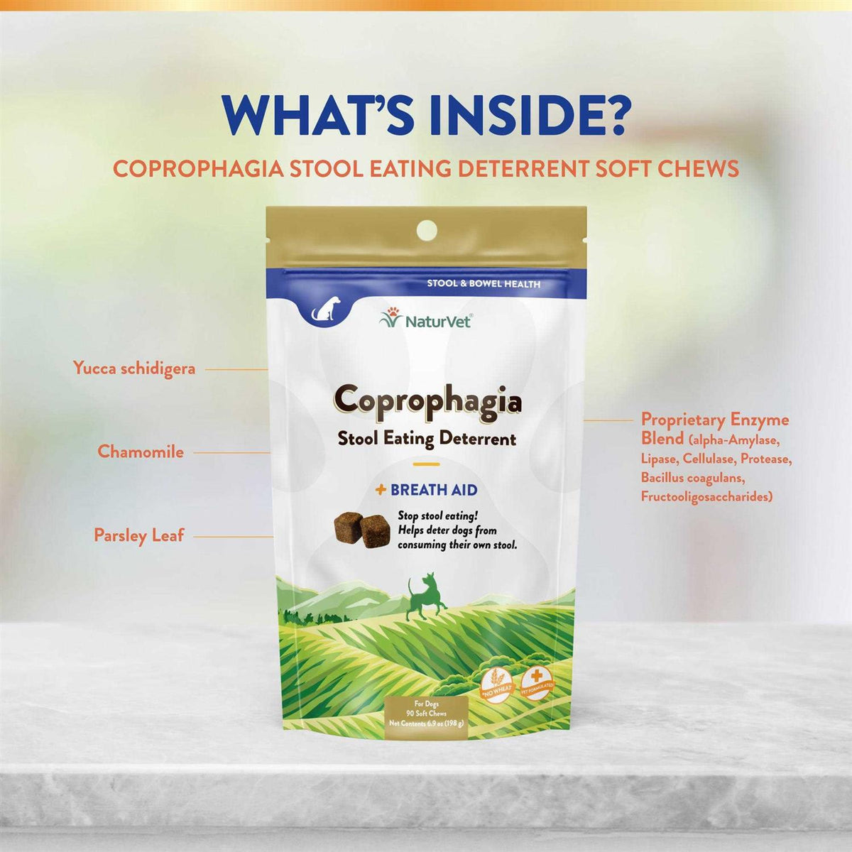 Coprophagia Stool Eating Deterrent Soft Chews S290