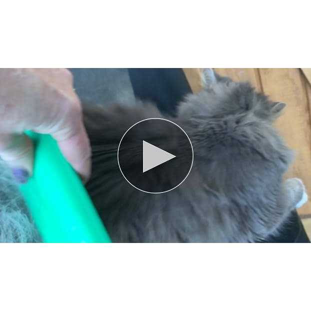 Deshedding Grooming Tool for Dogs Cats & Horses E240259