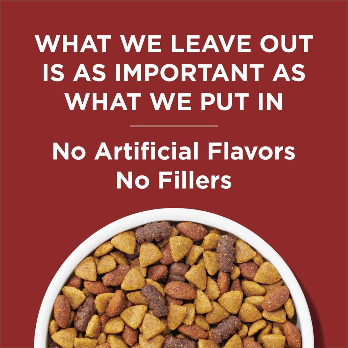 Complete Beef Adult Dry Dog Food R6965