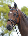 Brown Padded Bridle Q447