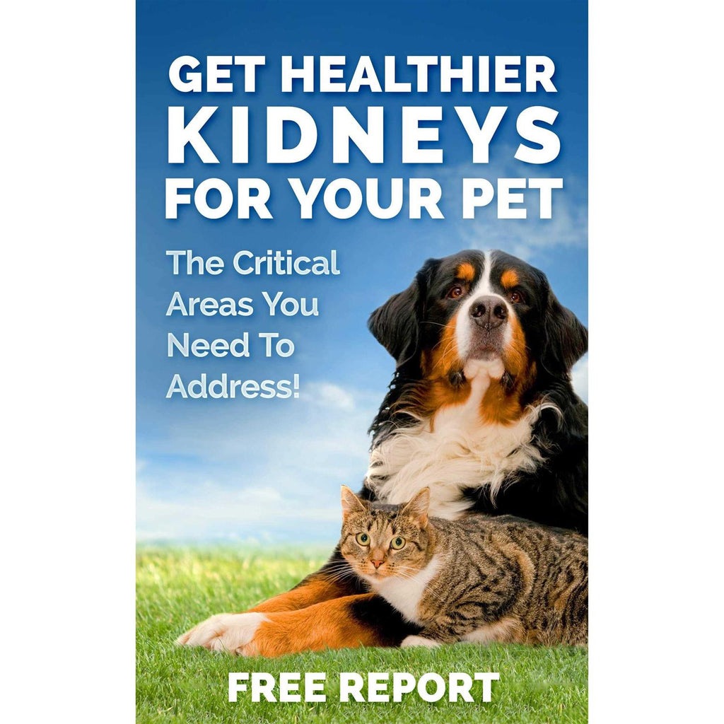 Kidney Support Supplement U607182