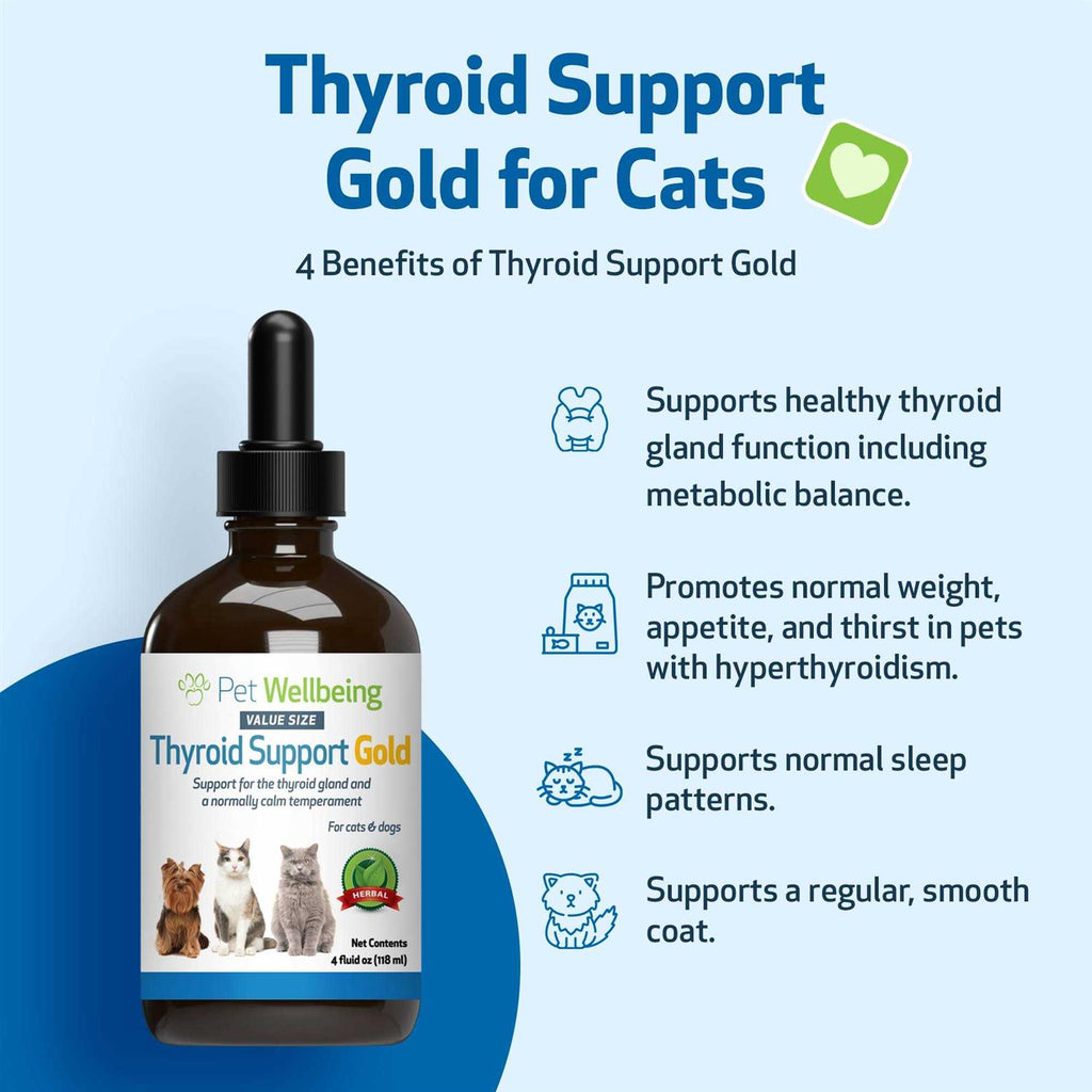 Thyroid Support for Cats A79015