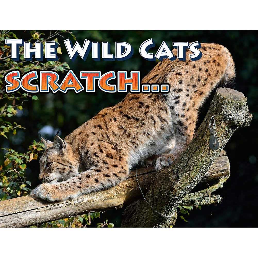 Cat Scratch Deterrent Spray Z24896