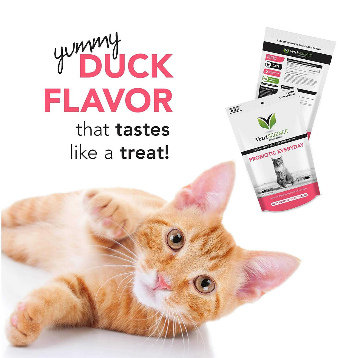 Probiotic for Cats U90277