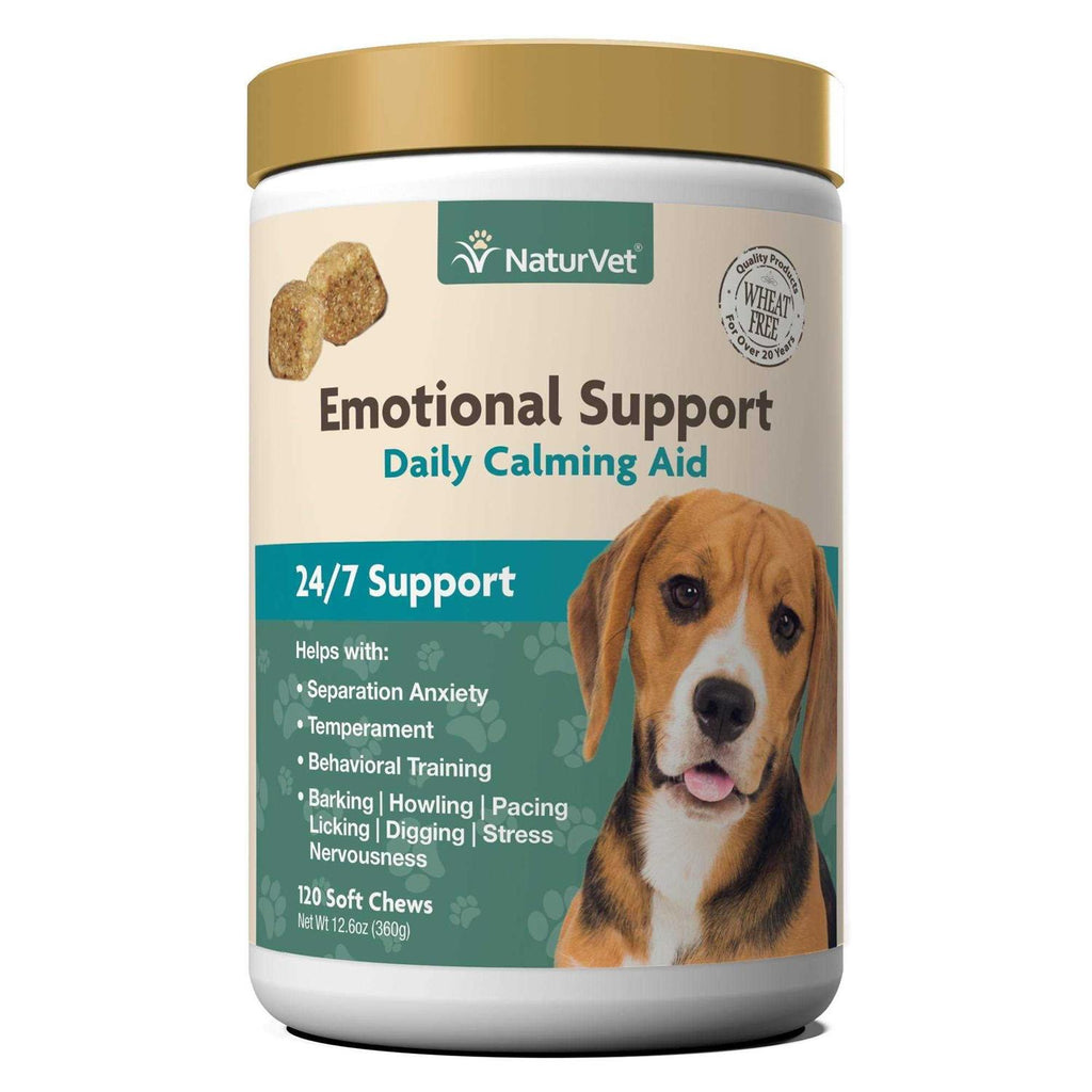Daily Calming Aid S384