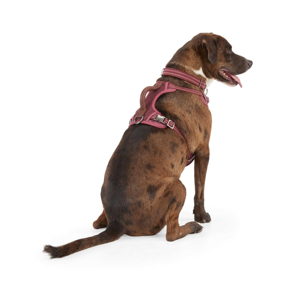 Canvas Dog Harness O79302