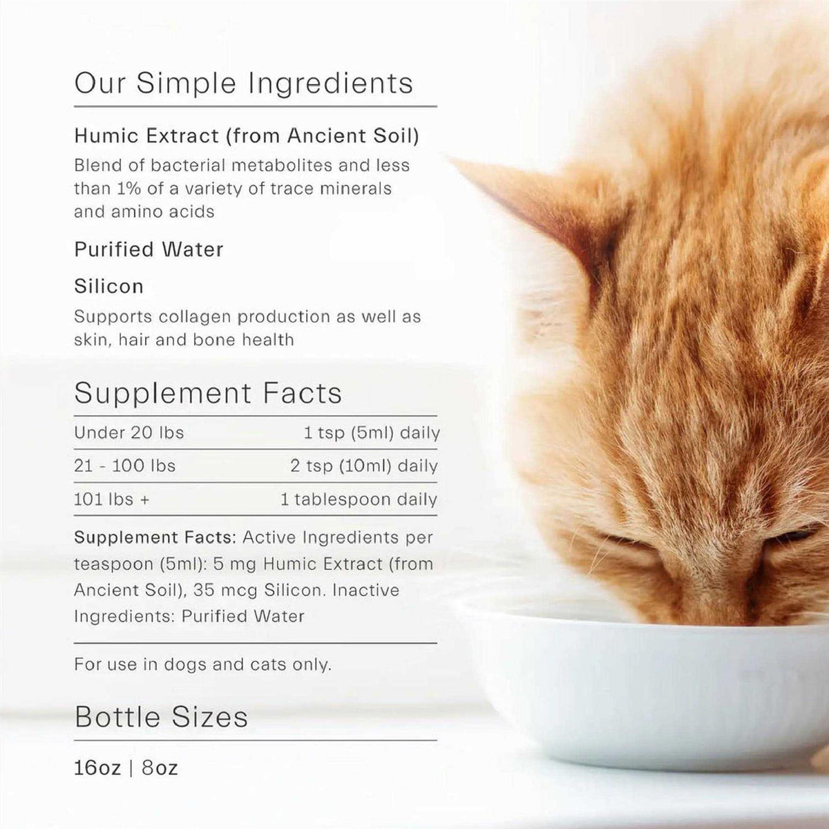 Gut Support For Pets X25838
