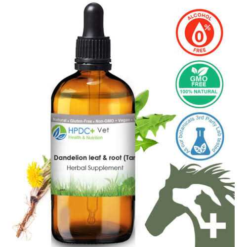 Dandelion Root Cat Liver and Digestive Support N91181