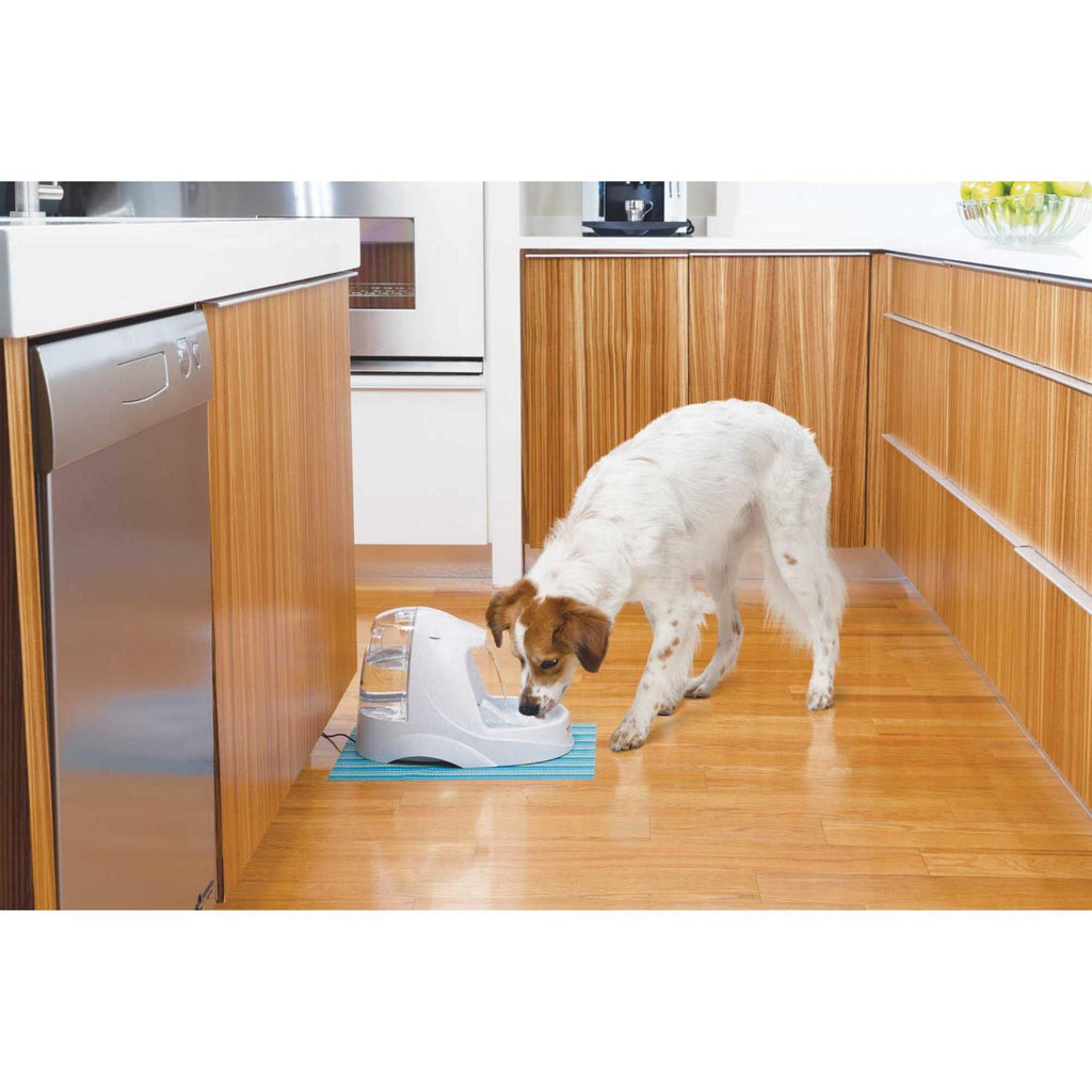 Pet Fountain S4519