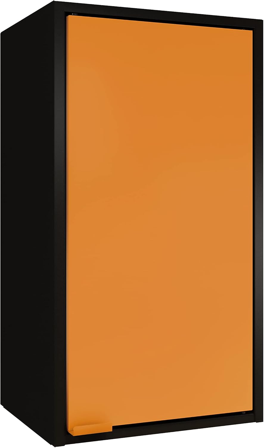 Black and Orange One Door Wall Steel Cabinet H433896