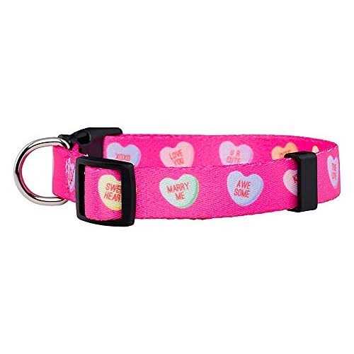 Valentines Day Heart Dog Collar K853043