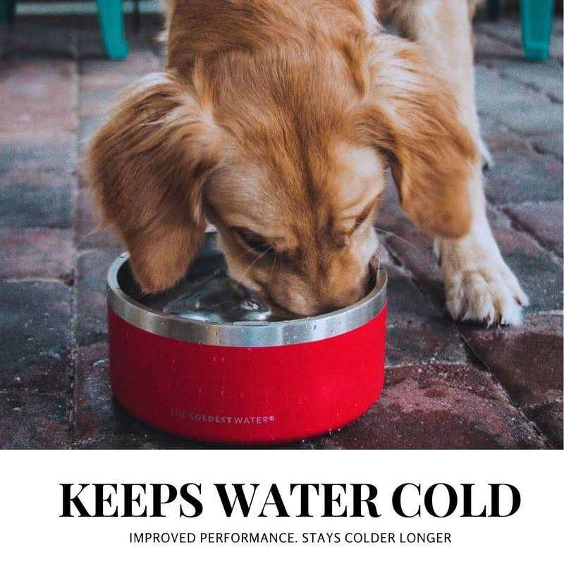 Stainless Steel Non Slip Insulated Dog Bowl N428677