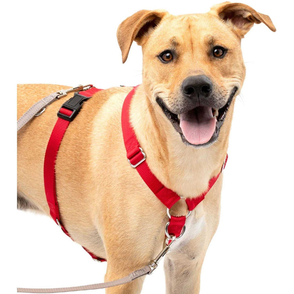 Sure-Fit Harness G15265