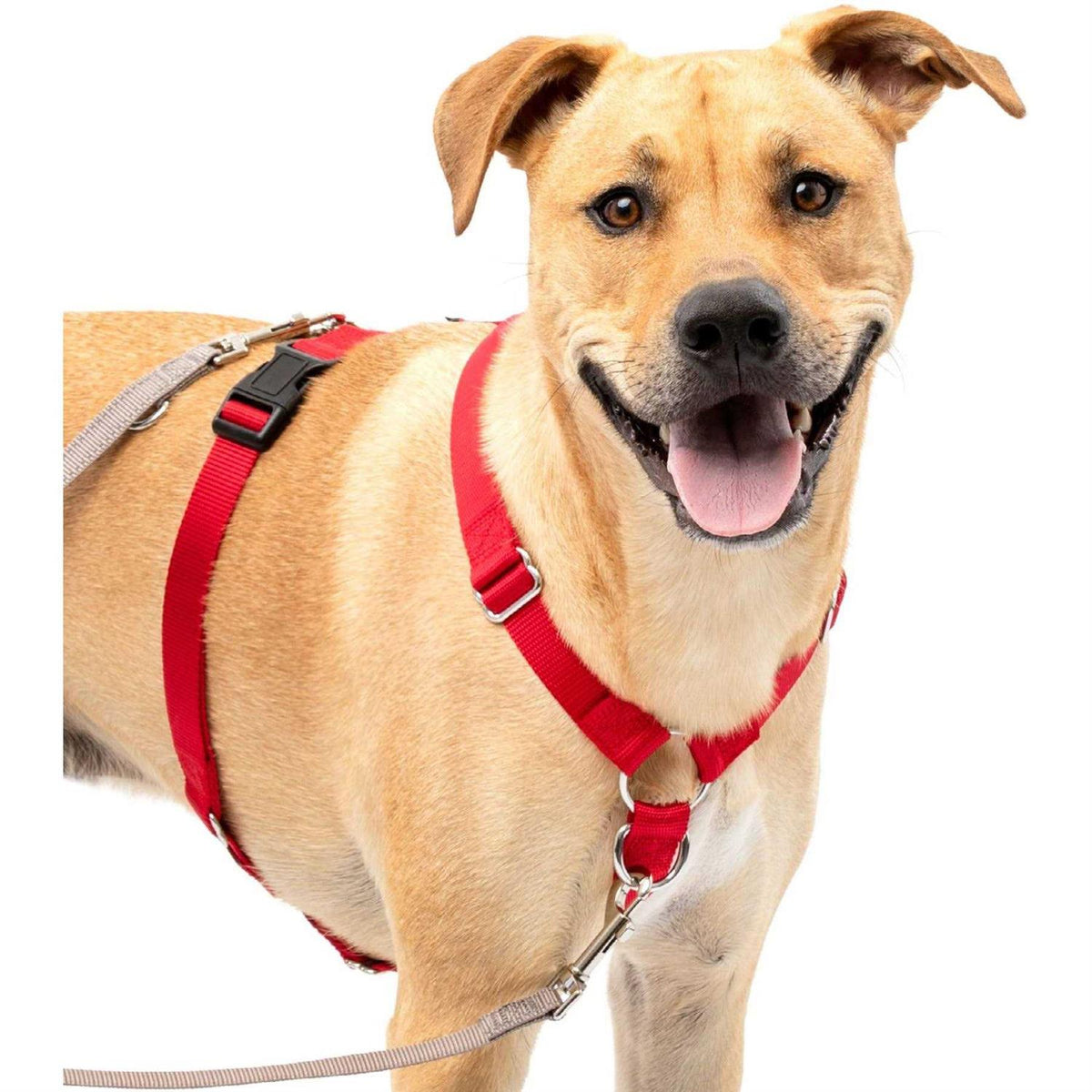 Sure-Fit Harness G15265