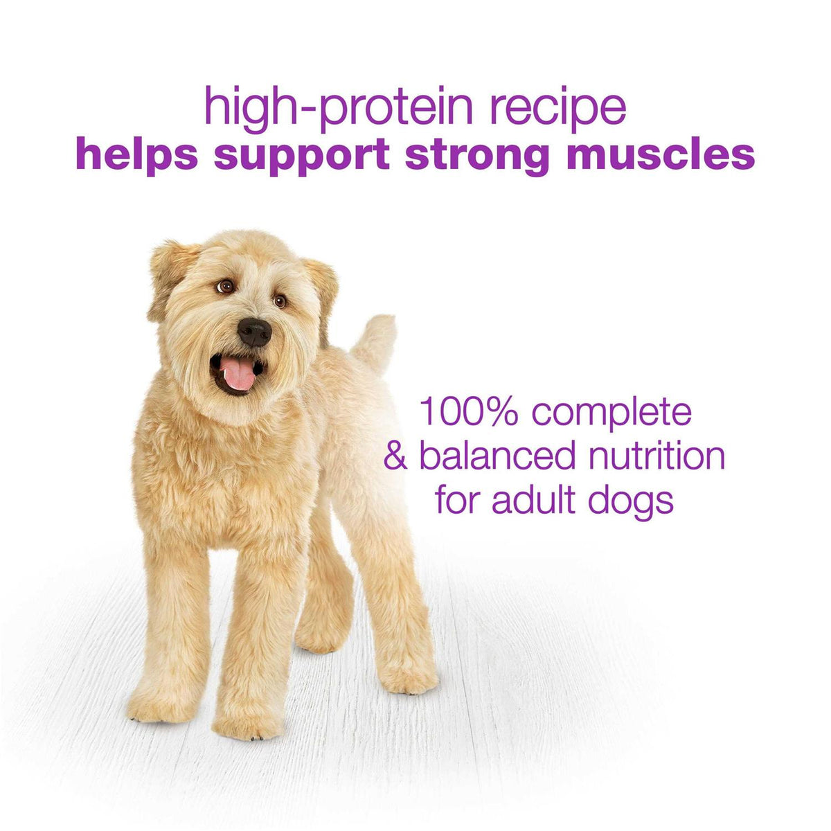 Wet Dog Food R924