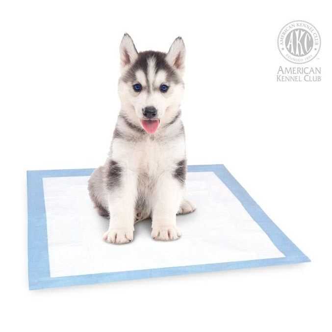 Puppy Training Pads V7759