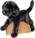 Black Lab C79998