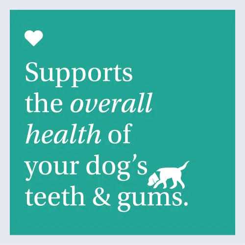 Dog Dental Formula P8524