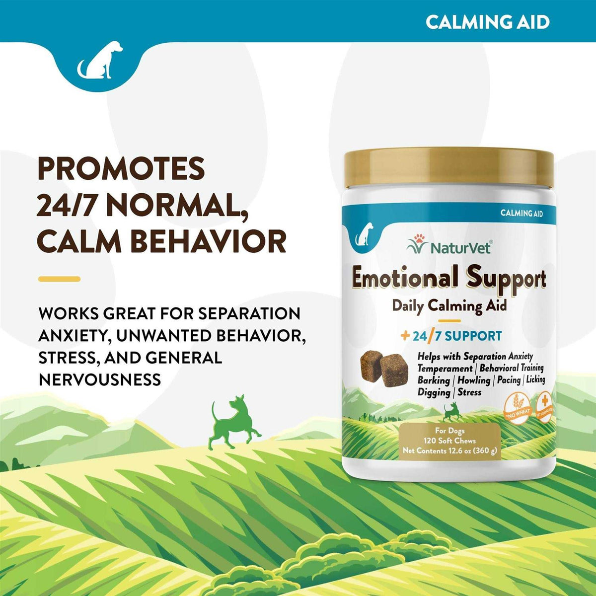 Daily Calming Aid S384