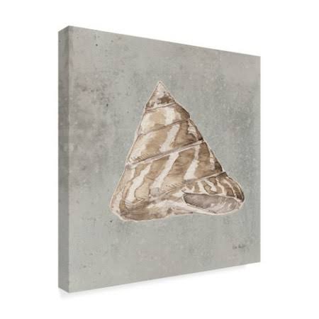 Sand and Seashells IV Art D6652