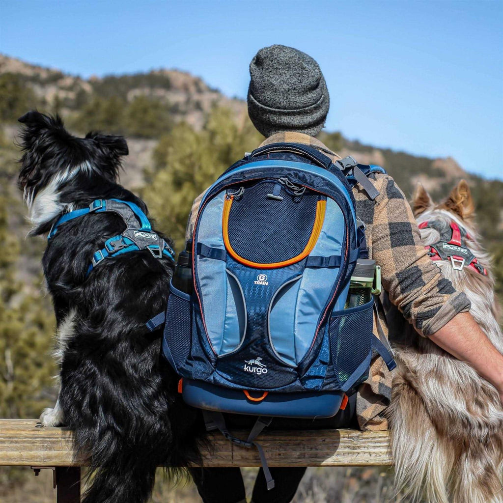 Dog Harness O535