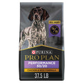 Dry Dog Food O914941
