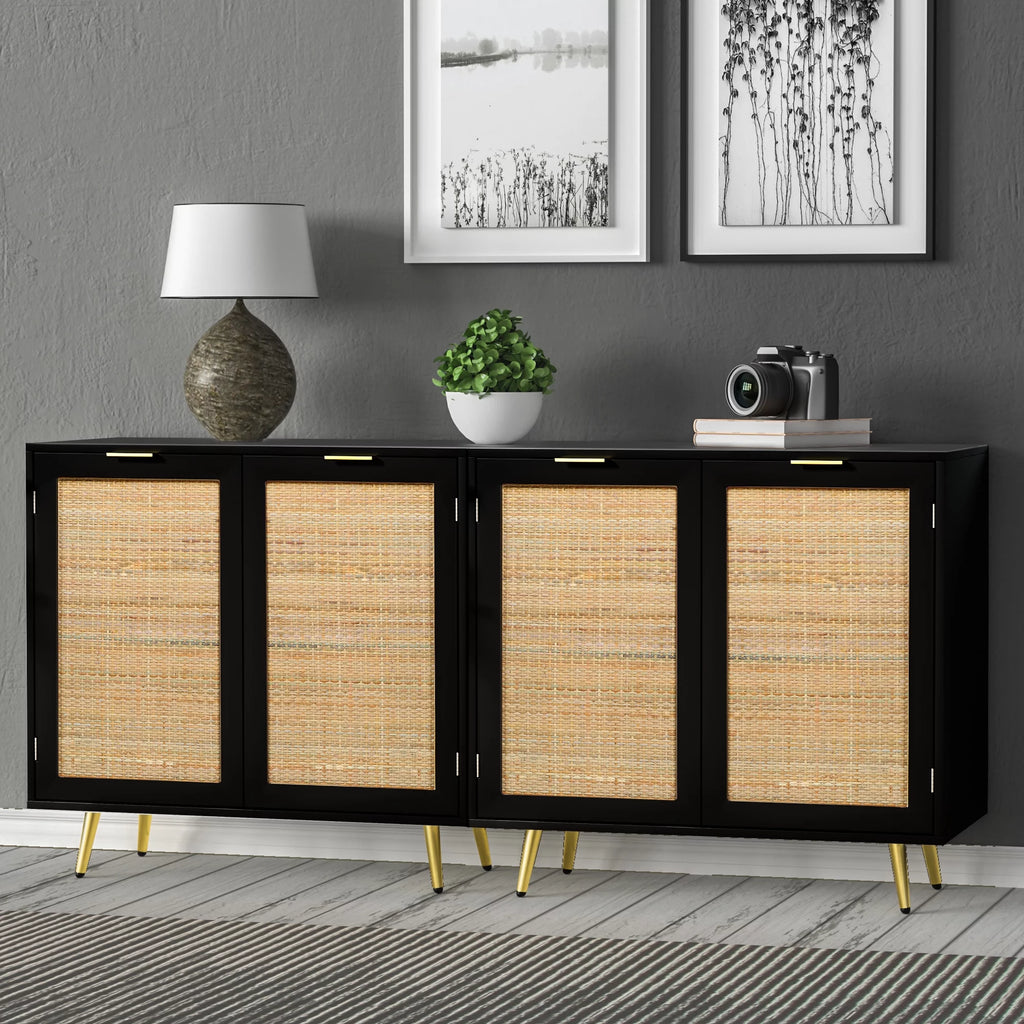 Black 2 Rattan Door Accent Cabinet D652