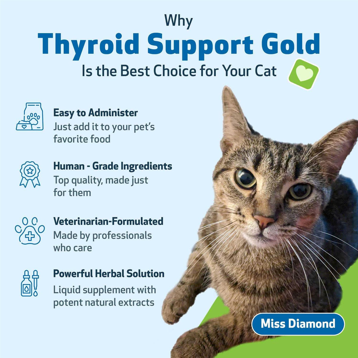 Thyroid Support for Cats A79015